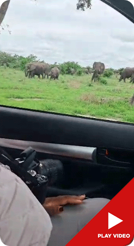 Click to View Video